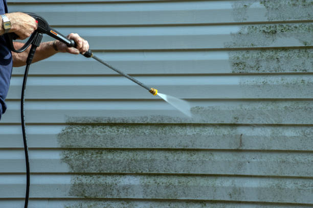 Professional Pressure Washing in Wildwood, FL